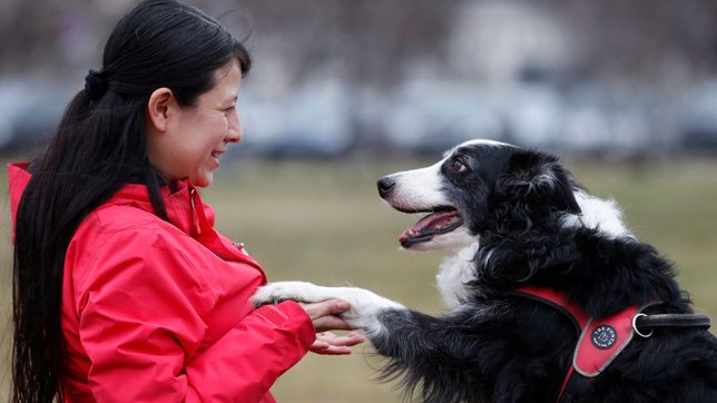 Que? Dogs’ brains can tell Spanish from Hungarian, study finds