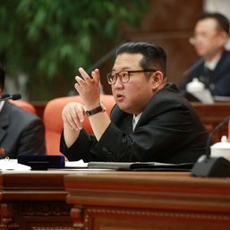 Pyongyang ‘looking to blame Seoul’ for virus – analysts
