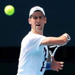 Australia boss Tiley gets board backing after Djokovic debacle
