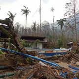 Typhoon Odette exposes biodiversity haven Palawan’s vulnerability – and resilience