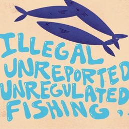 Regional reporting on illegal fishing nominated for One World Media award