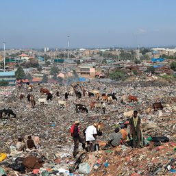 At Kenya’s biggest dump, urgent calls for a global plastics treaty