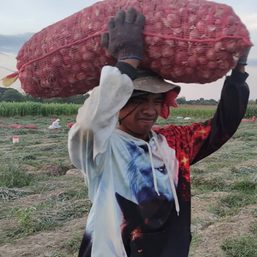 PNP apologizes after Imee Marcos accuses police of harassing onions farmers