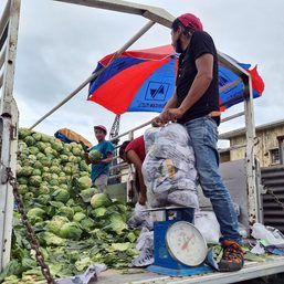 DA’s final tally: Typhoon Odette’s damage to agriculture hit P13.3 billion