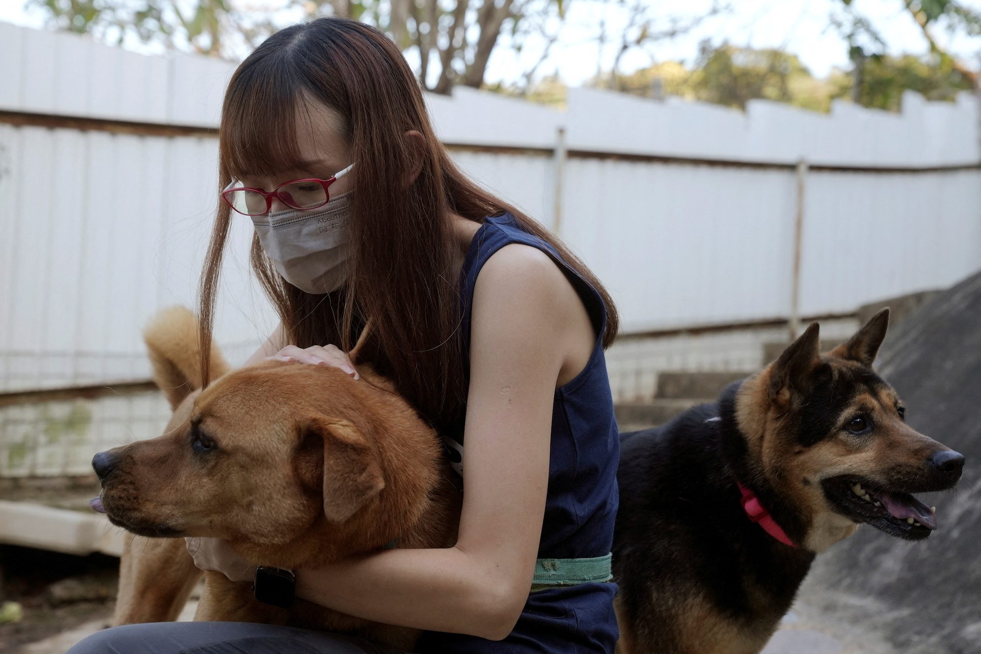 Many people abandoning pets as they leave Hong Kong over COVID rules