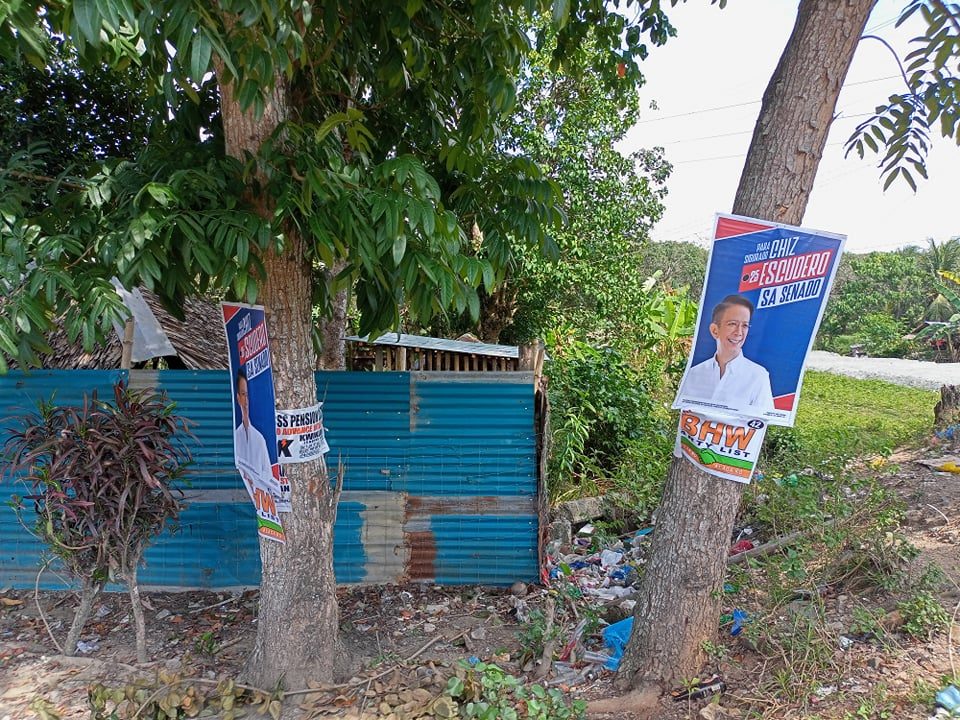 Comelec warns groups behind campaign materials on Zamboanga Sibugay trees