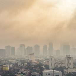 No country met WHO air quality standards in 2021 – data