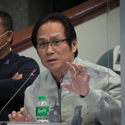 Senate panel wants PNP, NBI to keep probing Atong Ang over missing ‘sabungeros’