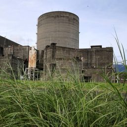 PNRI chief insists Bataan Nuclear Power Plant safe for use