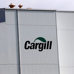 Cargill to halt grain loadings at its Russian export terminal