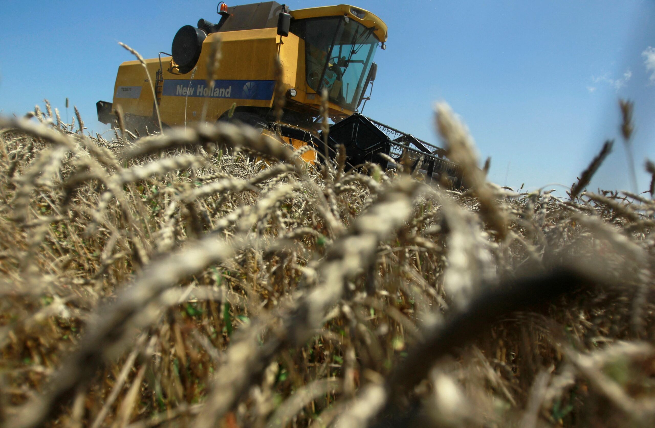 Wheat hits 14-year highs as Russia-Ukraine conflict curbs supply