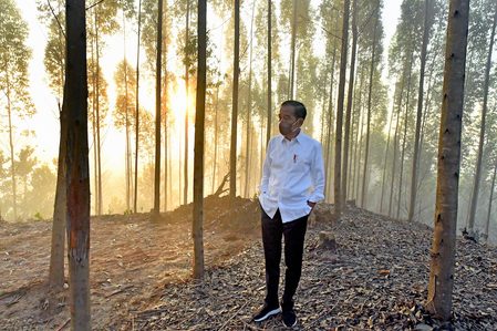 EXPLAINER: Talk of extended Jokowi term puts Indonesia democratic resilience under spotlight