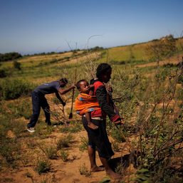 A green island turns red: Madagascans struggle through long drought