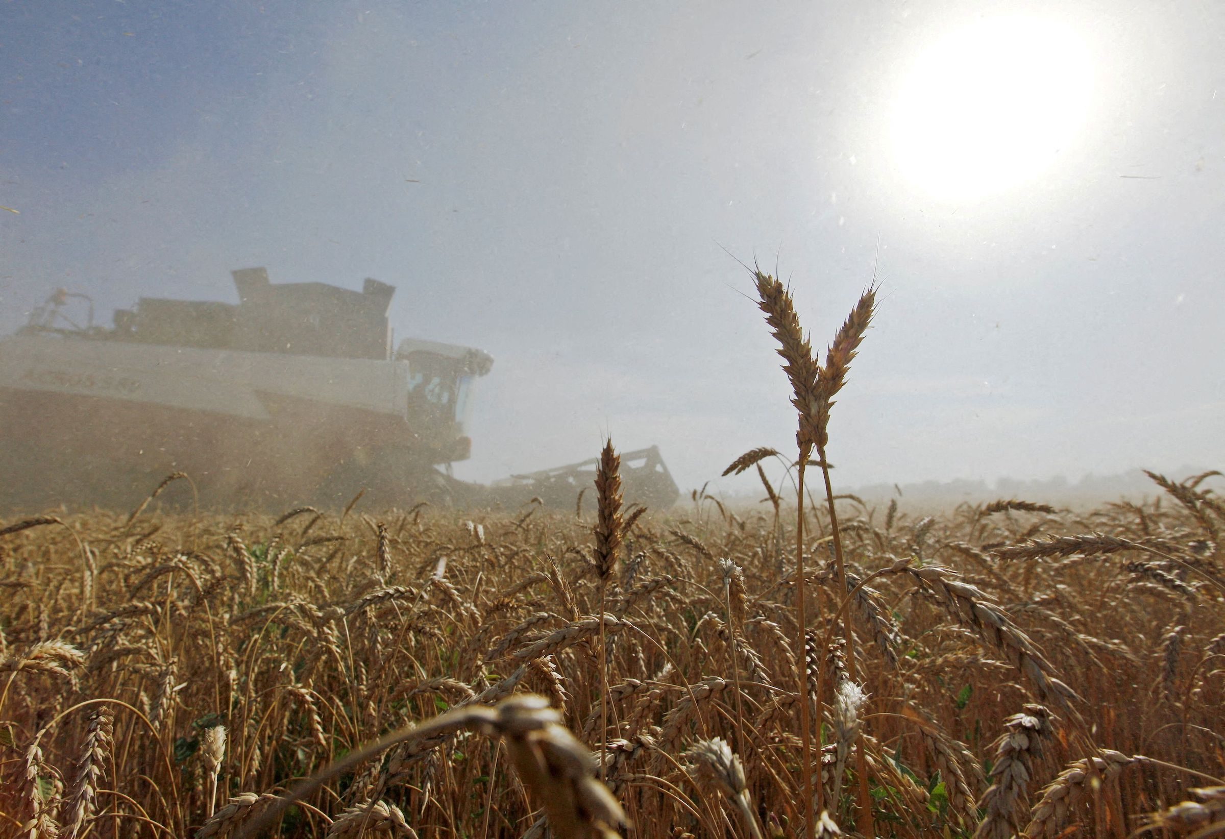Russia’s new crop wheat exports stifled as Western bank wariness bites