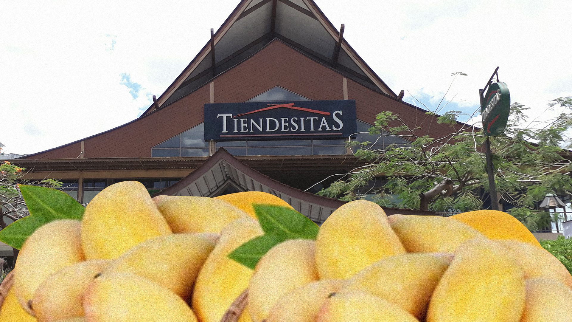 Mango mania! Buy fresh mangoes from Batangas farmers at 3 Ortigas malls