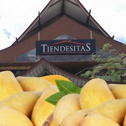 Help the Benguet farmers! Get 10 kilos of lemons for just P400