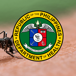 Calabarzon dengue cases up by 124%