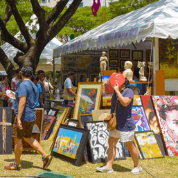 On its 15th anniversary, Art in the Park continues online edition