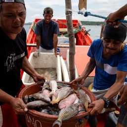 Philippines says Filipino fishermen not covered by China fishing ban