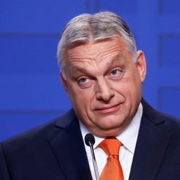 Hungarian MEP resigns after lockdown breaking ‘sex party’