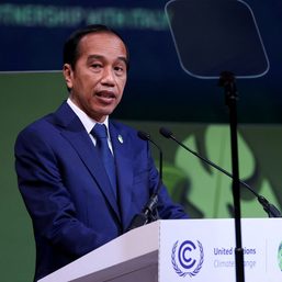 Indonesia passes law to relocate capital to remote Borneo