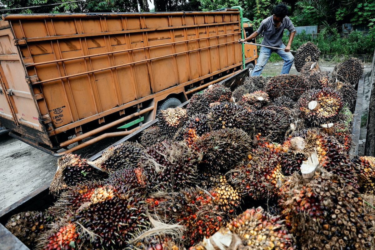 Indonesia’s palm oil export ban seen short-lived on limited storage