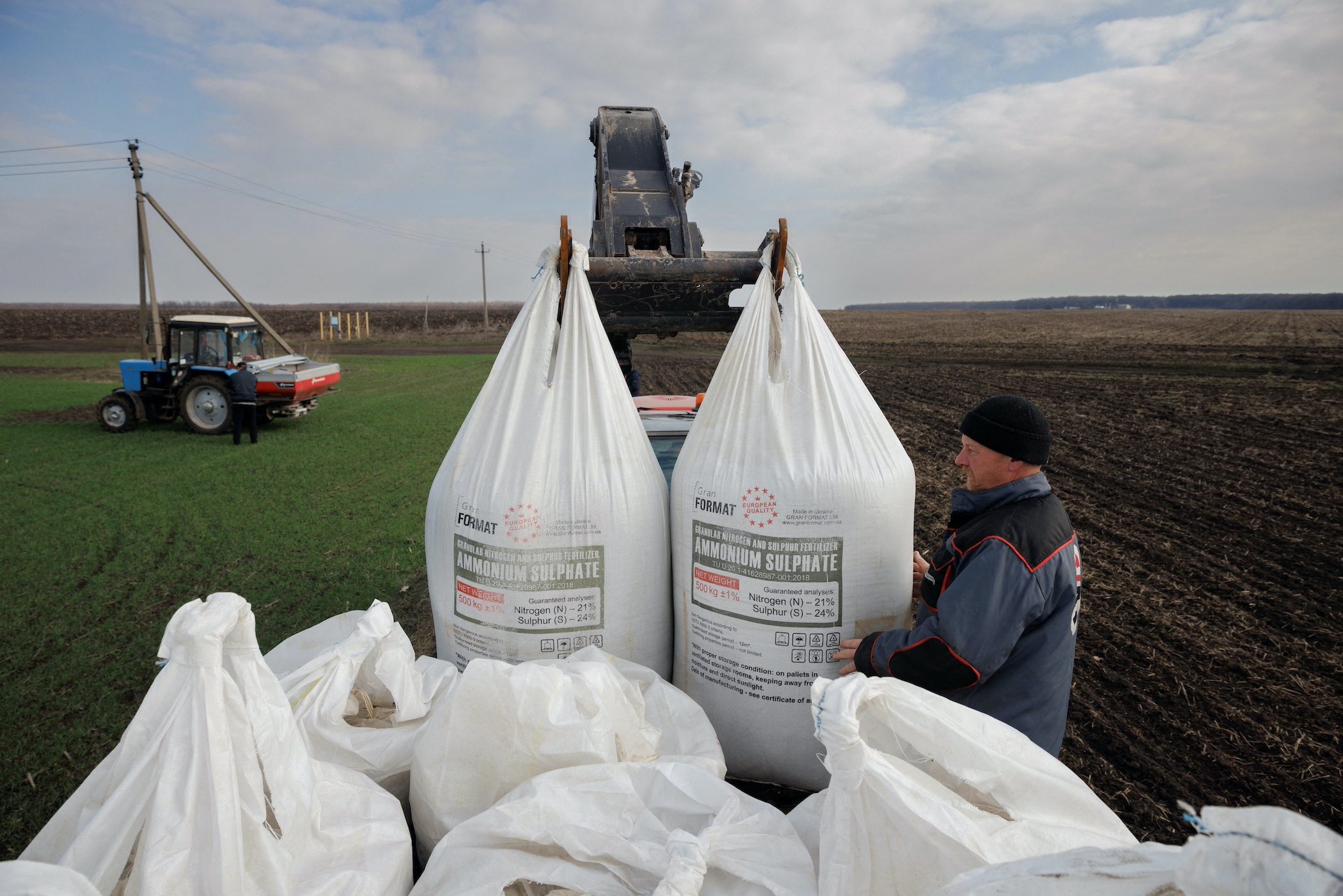 Ukraine could lack seeds for grain crops for years – French producers