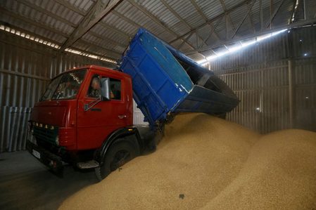 Ukraine grain storage shortage adds to farmers’ woes