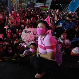 The pink provinces: Where Leni Robredo won