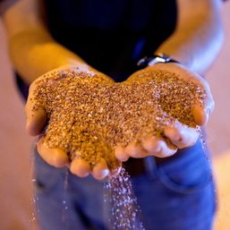 Nigeria buys emergency Canadian potash to replace lost Russian supply