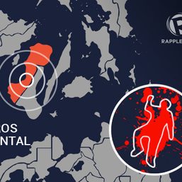 #PulisAngTerorista trends after cop kills 52-year-old woman