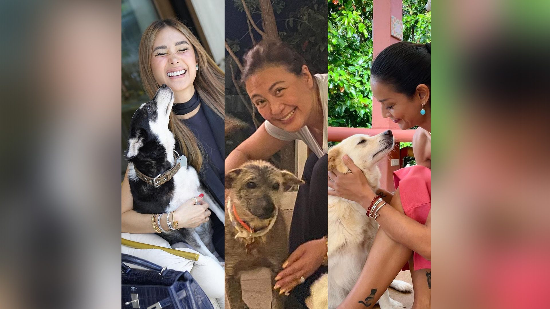 Adopt don’t shop: Filipino celebrities with rescue dogs