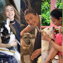 Adopt don’t shop: Filipino celebrities with rescue dogs