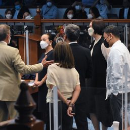 Senate concurs with PH ratification of Arms Trade Treaty