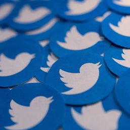 Twitter adopts ‘poison pill’ as challenger to Musk emerges
