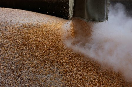 EXPLAINER: Ukraine looks for ways to get its grain out