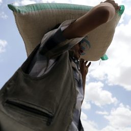 World Bank to offer $30 billion as Ukraine war threatens food security