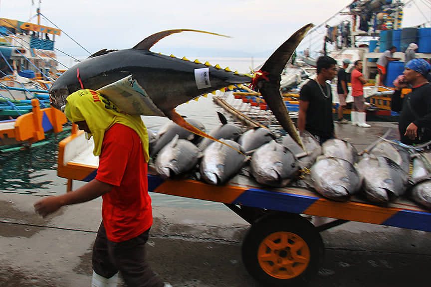 Tuna capital takes a beating as diesel prices hit P85 a liter in General Santos