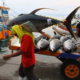 Cagayan de Oro cautions fisherfolk against catching small fishes