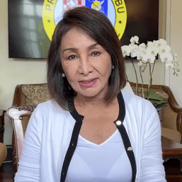 Sara says she discussed HNP helping Marcos’ presidential bid