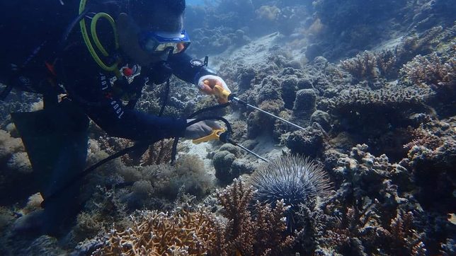 Locals, advocates race to protect reefs in Panaon Island