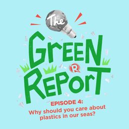 [PODCAST] The Green Report: Why should you care about plastics in our seas?