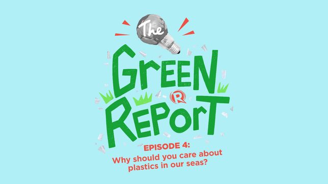 [PODCAST] The Green Report: Why should you care about plastics in our seas?