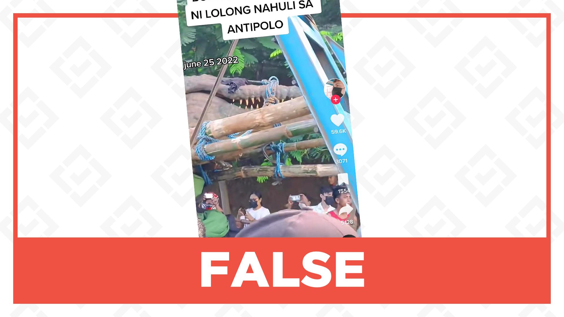 FALSE: Video of large crocodile caught in Antipolo