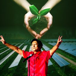 [OPINION] What must the green agenda be for a Marcos Jr. presidency?
