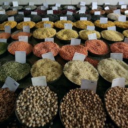 Fertilizer maker Yara says world faces extreme food supply shock