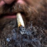 Cannabis use has risen with legalization and COVID-19 lockdowns – UN report