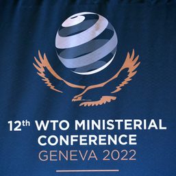 WTO chief seeks to wrap up fish talks as developing countries cry foul