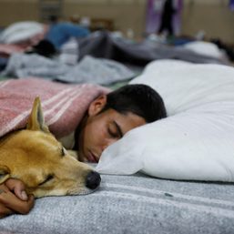 Brazilian city’s homeless get incentive for going to shelter: beds for their pets