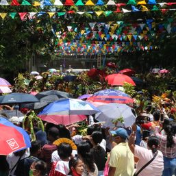 Former rebels turn favorite ‘NPA tea’ into a business in Zamboanga Peninsula